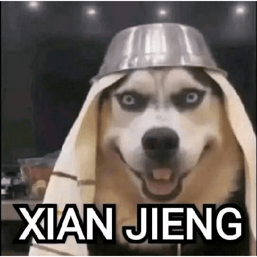 贴纸