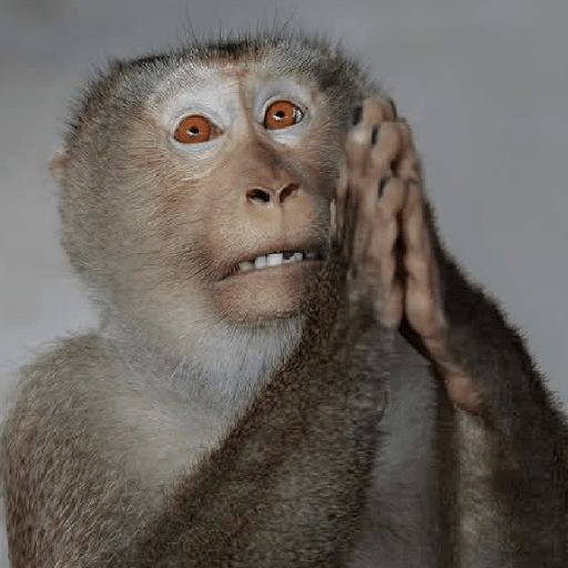 स्टिकर