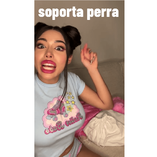soporta perra