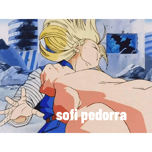 A ver 13