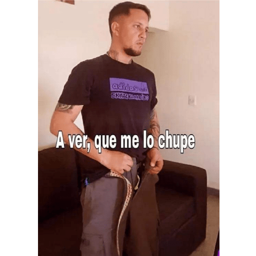 A ver 6