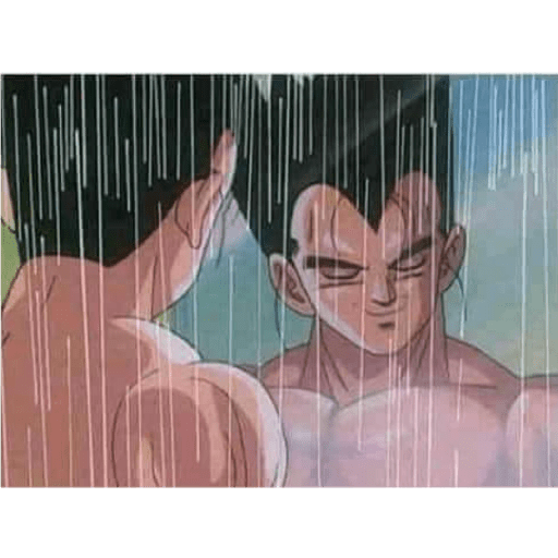 A ver 17