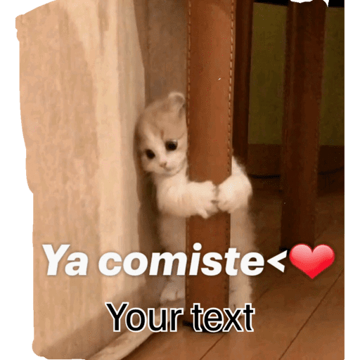 Sticker Image