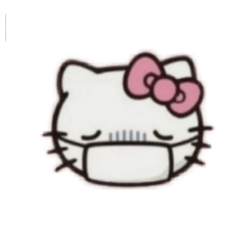 Hello Kitty lover 2