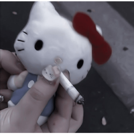 Hello Kitty lover 11