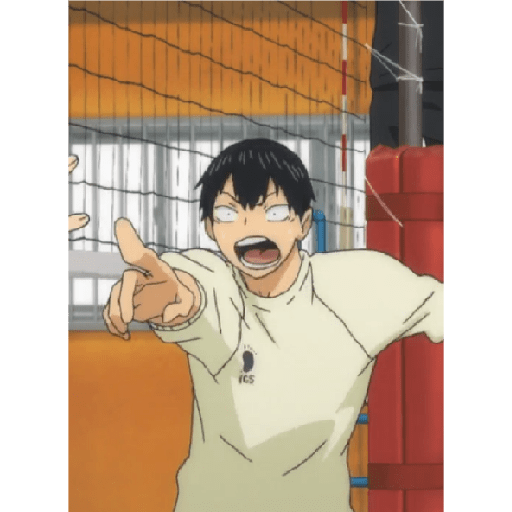 Tobio 29