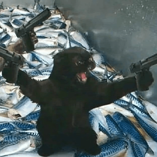 Animals3 3