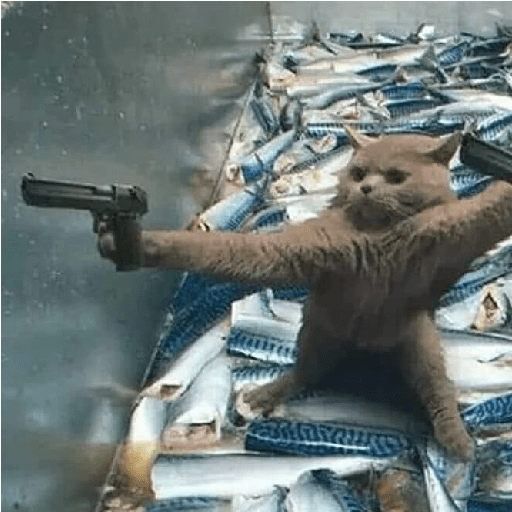 Animals3 2