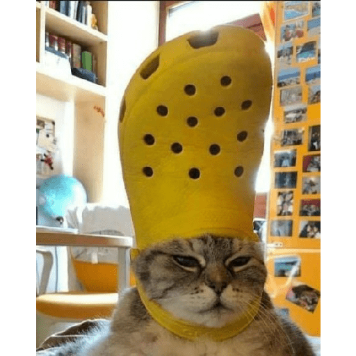 Animals3 9