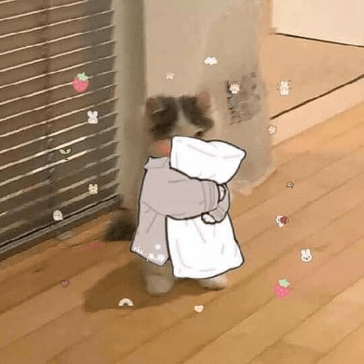 Animals3 13