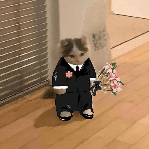 Animals3 14