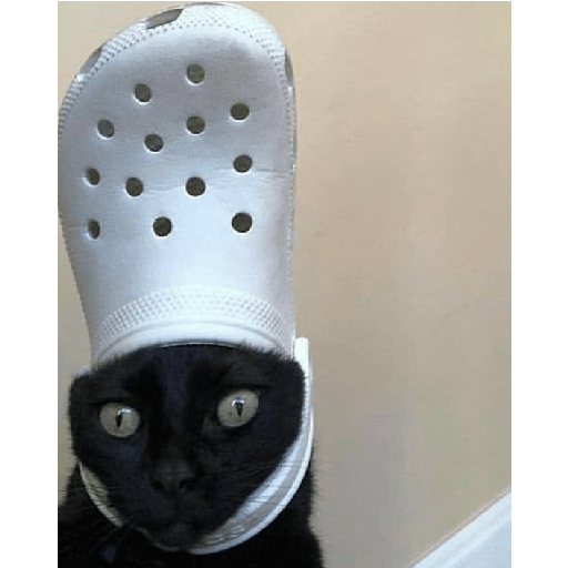 Animals3 6