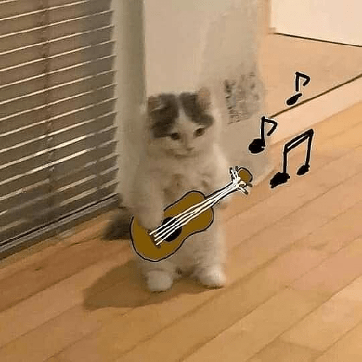 Animals3 16
