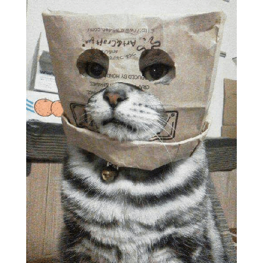 Animals3 23