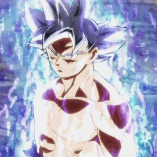 Goku 2 29
