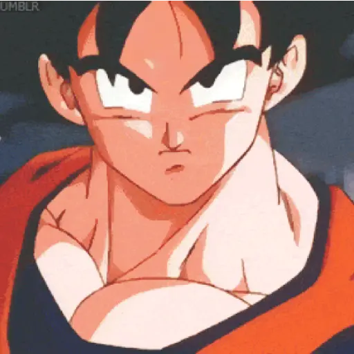 Goku 2 11