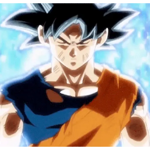 Goku 2 28