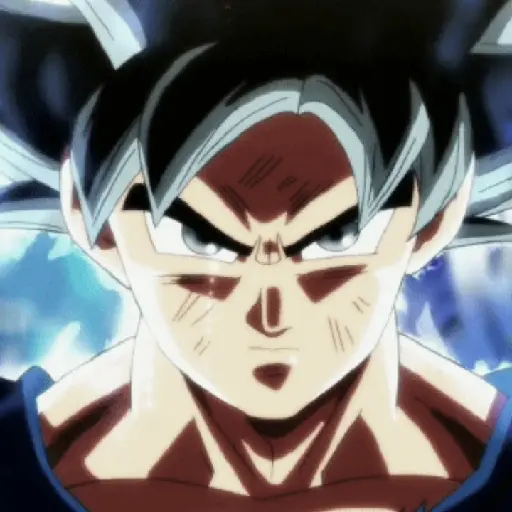 Goku 2 18