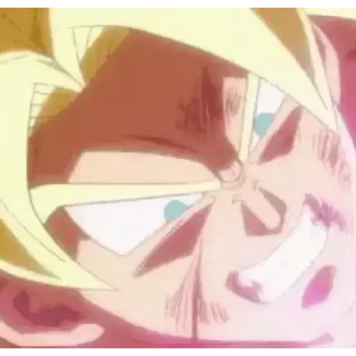 Goku 2 5