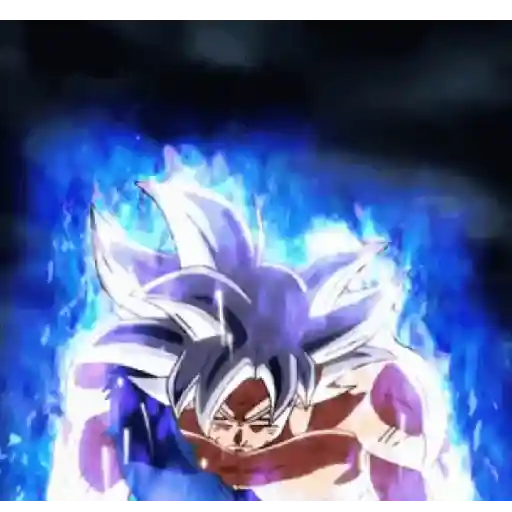 Goku 2 24