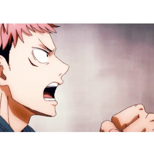 Jujutsu 13