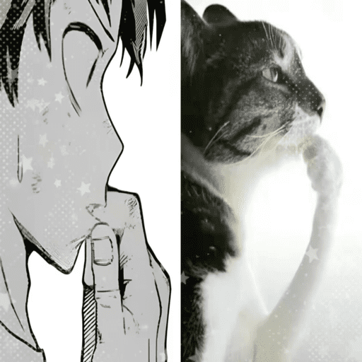 Anime type shi 1