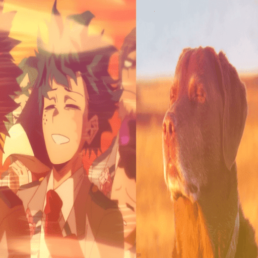 Anime type shi 8