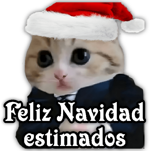Merry Cat Christmas 🎄😺✨