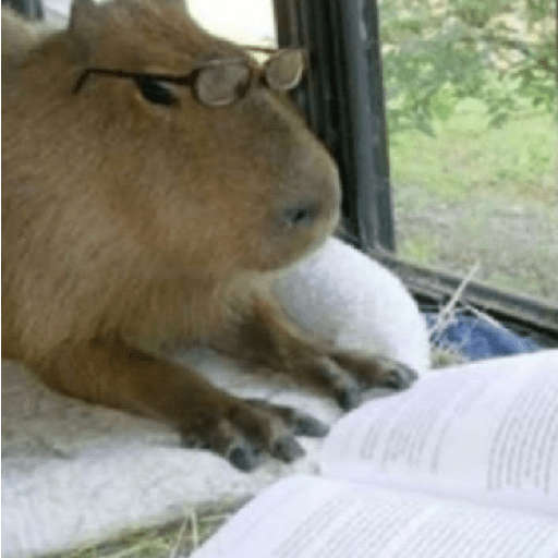 Sticker.ly Chat Stickers & Memes for WhatsApp