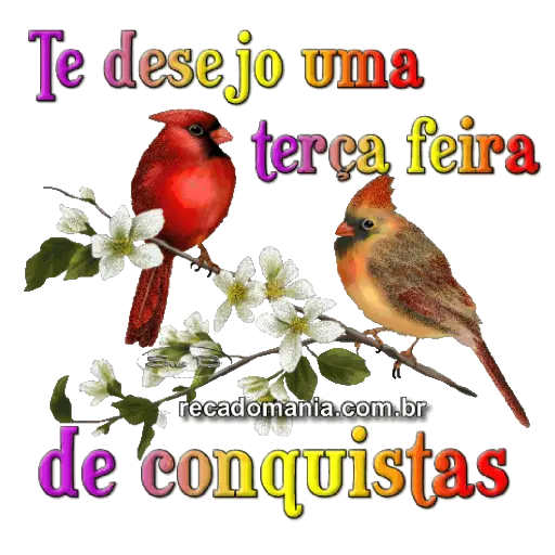Boa viagem-Bom Dia-Memes 🤩 5
