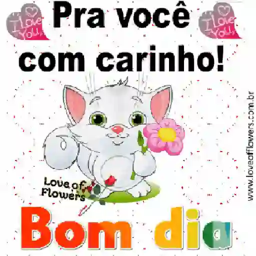 Bebê Bom Dia 12