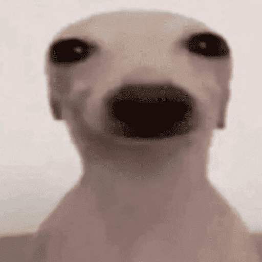 DuduX69 28