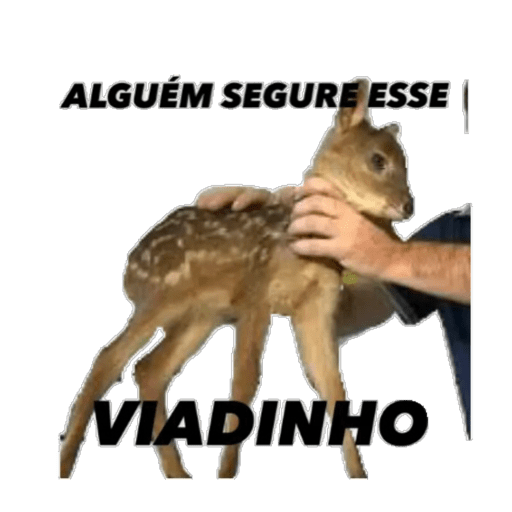 DuduX69 4