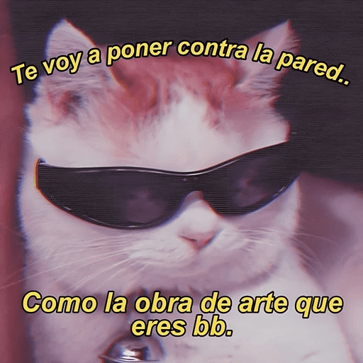 Shitpost de amor 21