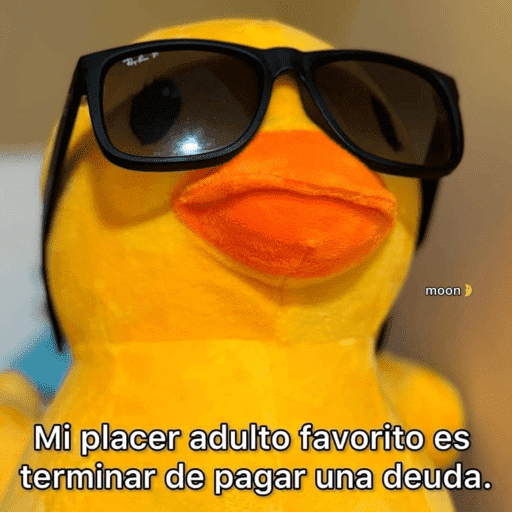 🐥STICKERS DE POLLITOS🐥 11