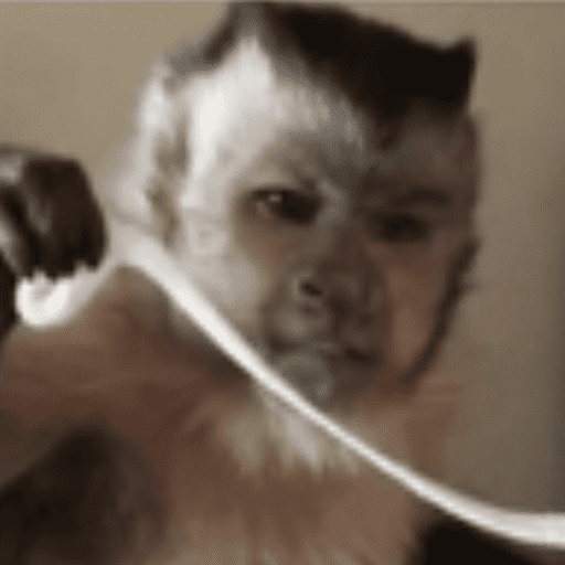 Stickers de monitos🙊🙉🐒 4