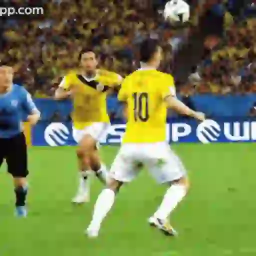 Stickers (Selección Colombia🇨🇴) 14