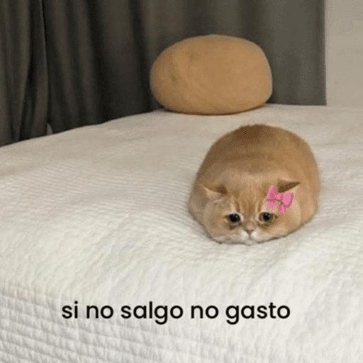 😂STICKERS PAL GRUPO🐶😹 9