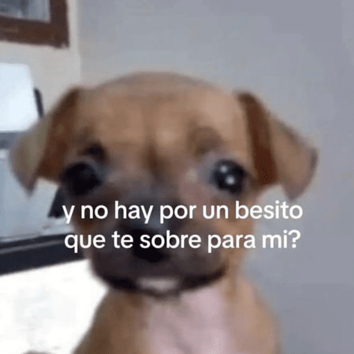 😂STICKERS PAL GRUPO🐶😹 3