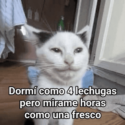 😂STICKERS PAL GRUPO🐶😹 7