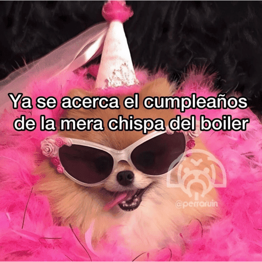 😂STICKERS PAL GRUPO🐶😹 2