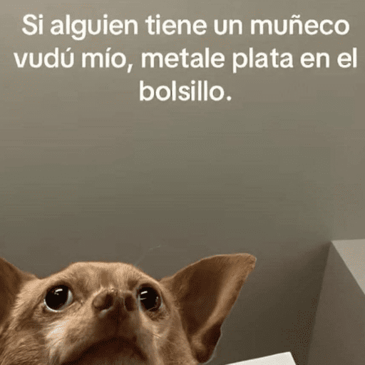 😂STICKERS PAL GRUPO🐶😹 10