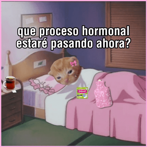 😂STICKERS PAL GRUPO🐶😹 8