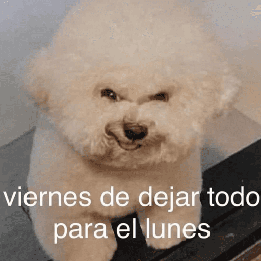 😂STICKERS PAL GRUPO🐶😹 12