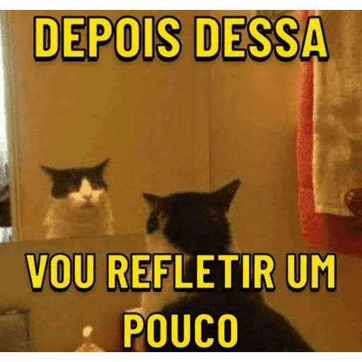 Gatos reagindo