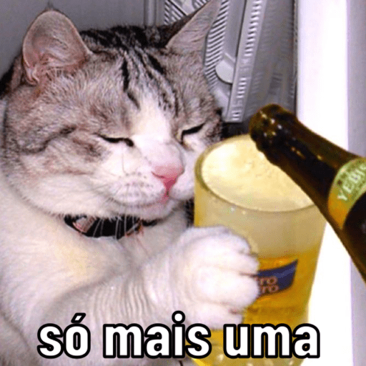 MEMES GATINHOS 🆕