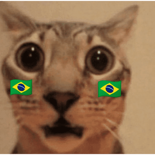 Bora brasil 🇧🇷💚💛 13