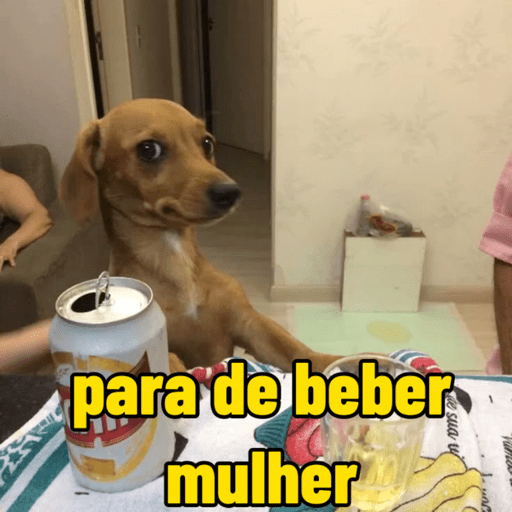 Dogs engraçados
