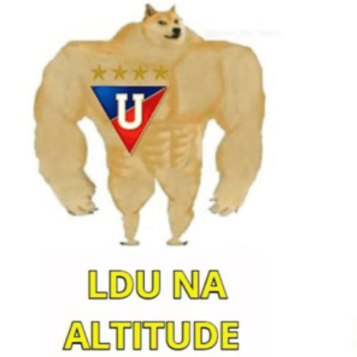LDU