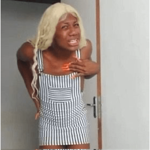 ATUALIZAÇÃO PRO ZAP 1